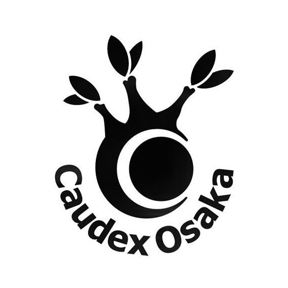 Caudex Osaka